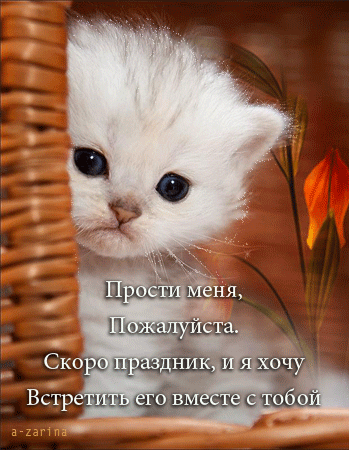 Открытка открытки с извинениями  - Милый котенок на плетёной корзине | Красивая открытка #226