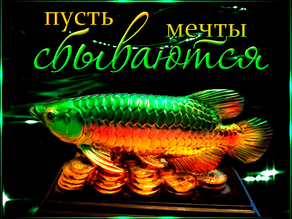 Открытка Исполнения желаний - Золотая рыбка на открытке | Красивая открытка #13