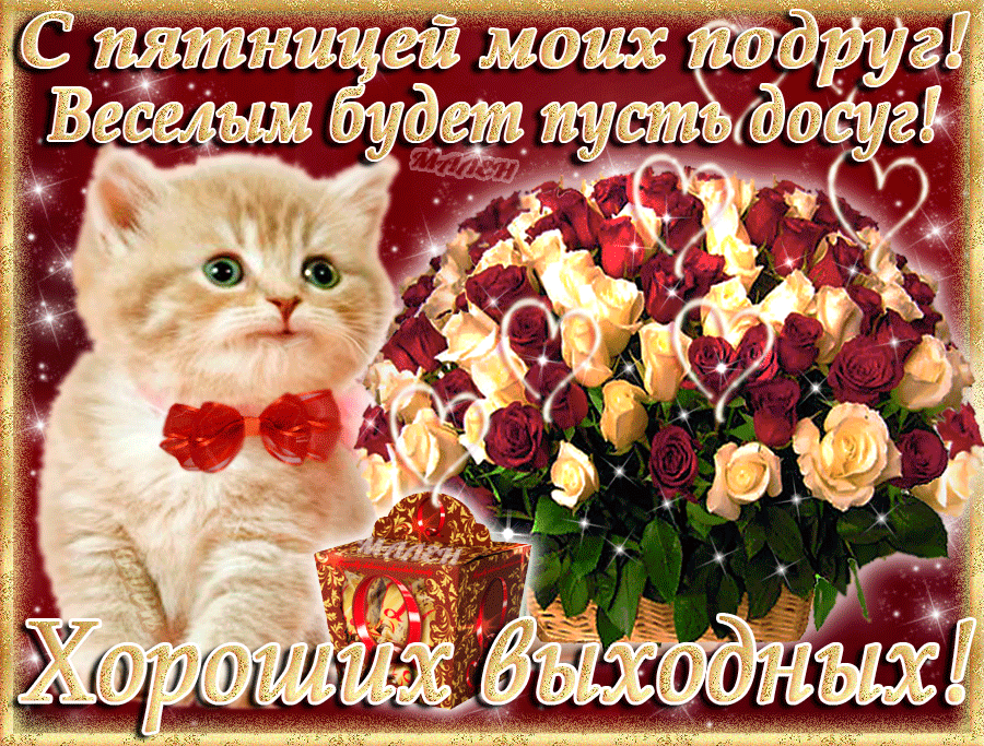 Открытка Открытки хороших выходных - Открытка: Кот с цветами и подарками | Красивая открытка #196