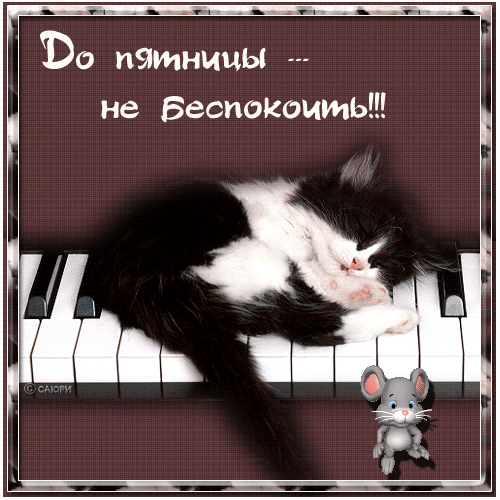 Открытка Открытки на пятницу - Котенок спит на рояле: открытка с милым котиком | Красивая открытка #67