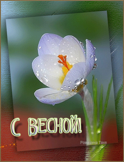 Открытка Открытки весенняя пора - Открытка «С весной»: нежный цветок с росой | Красивая открытка #211