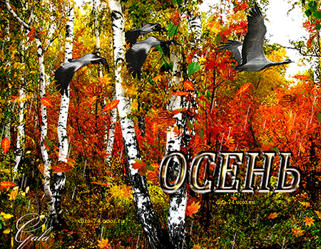 Открытка Открытки осенняя пора - Осенние открытки: яркие краски, лес и птицы | Красивая открытка #117