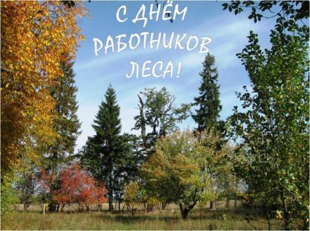 Открытка Открытки с днем работников леса - Осенний пейзаж: золотые деревья и сосны | Красивая открытка #19