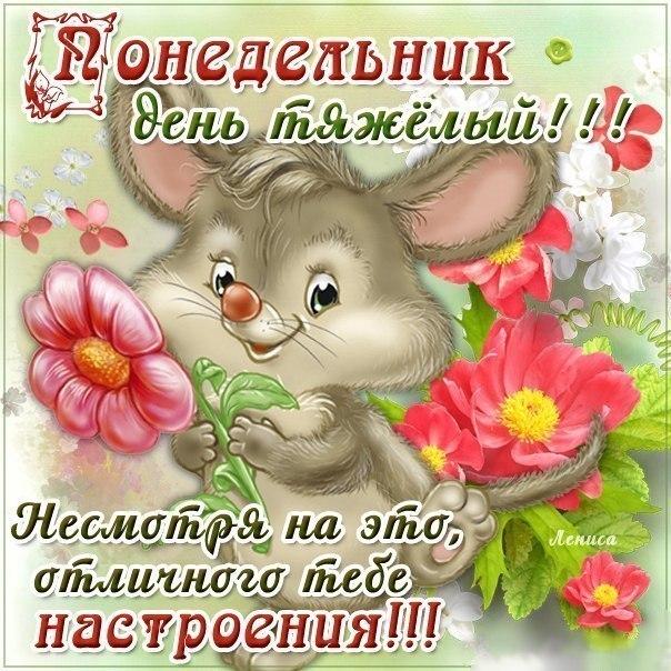 Открытка Открытки на понедельник - Открытка с милым зайчиком и цветами | Красивая открытка #129