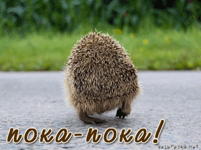 Открытка Прощания - Еж на дорожке: открытка с милым животным | Красивая открытка #11