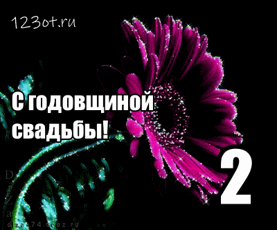 Открытка 2 года - бумажная свадьба - Поздравительная открытка с цветами: эффектные розовые цветы | Красивая открытка #70