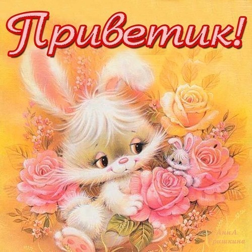 Открытка открытки с приветствием  - Открытка с котенком и розами | Красивая открытка #4