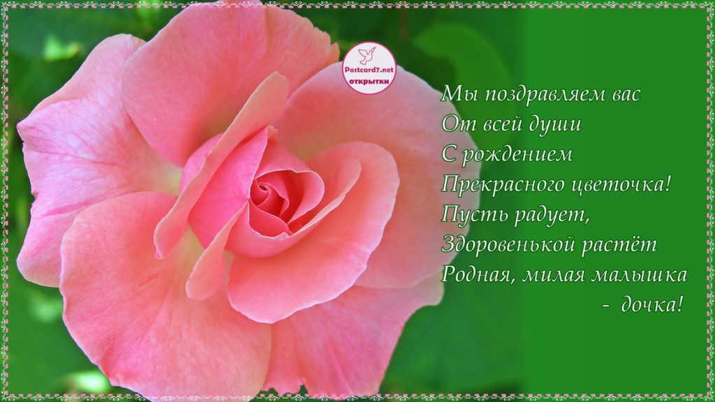 Открытка Стихи для дочки - Открытка с розой: нежные поздравления | Красивая открытка #30