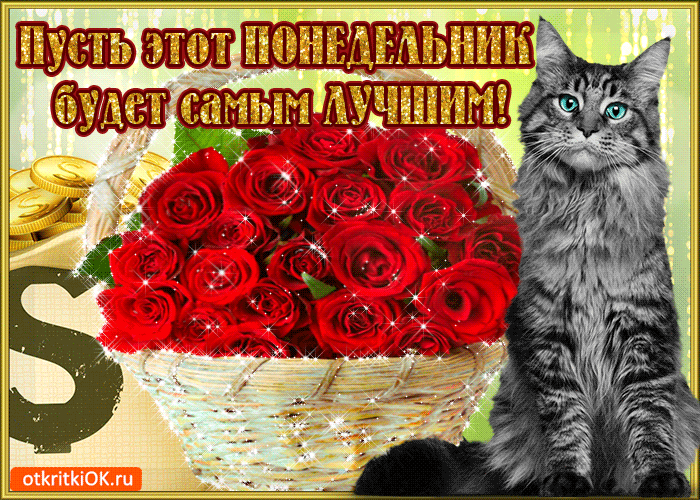 Открытка Открытки на понедельник - Открытка с котом и розами | Красивая открытка #49