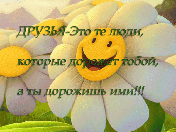 Открытка Открытки о дружбе - Дорожка: Открытка с ромашкой и солнышком | Красивая открытка #249