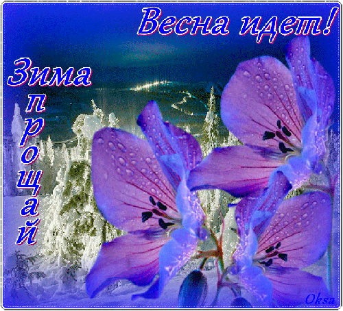 Открытка Открытки с последним днем зимы - Фиалки на снегу: зимняя открытка с цветами | Красивая открытка #20