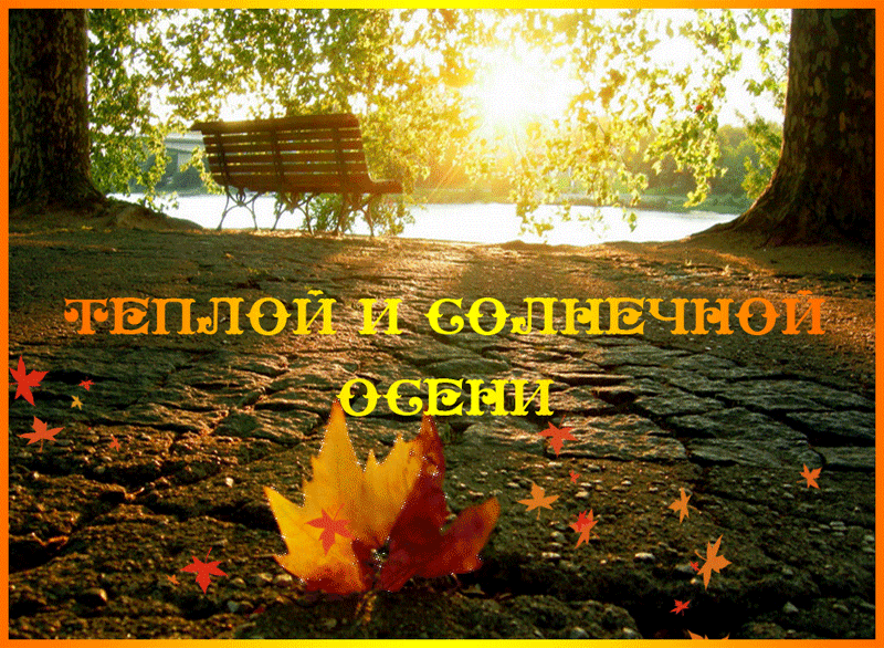 Открытка Открытки осенняя пора - Осенний пейзаж: парк, скамейка, солнце, листва | Красивая открытка #99