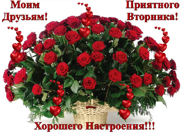 Открытка Дни недели - Открытка с красными розами в плетеной корзине | Красивая открытка #79