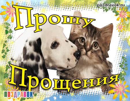 Открытка Прости - Открытка с котенком и щенком - Поздравления | Красивая открытка #76