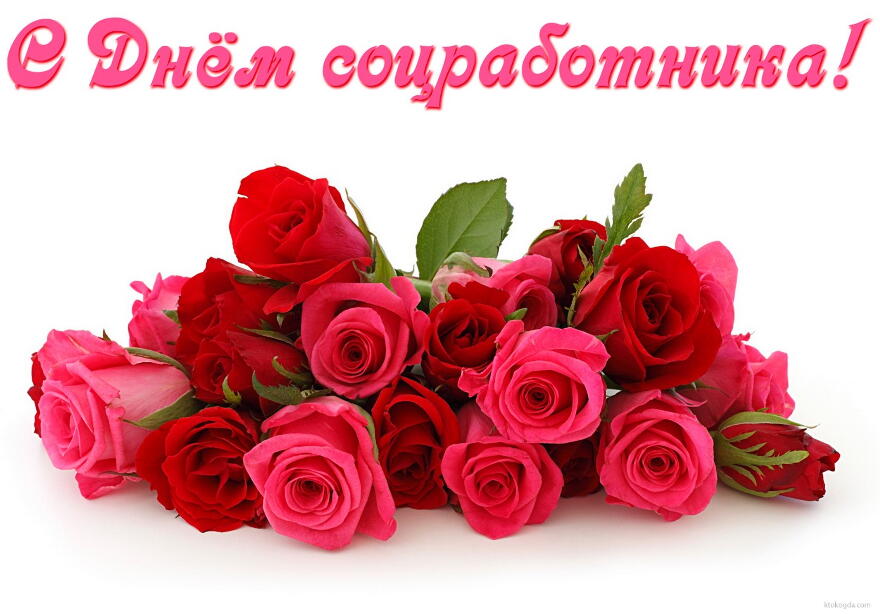 Открытка День социального работника - Букет роз: красные и розовые цветы | Красивая открытка #29