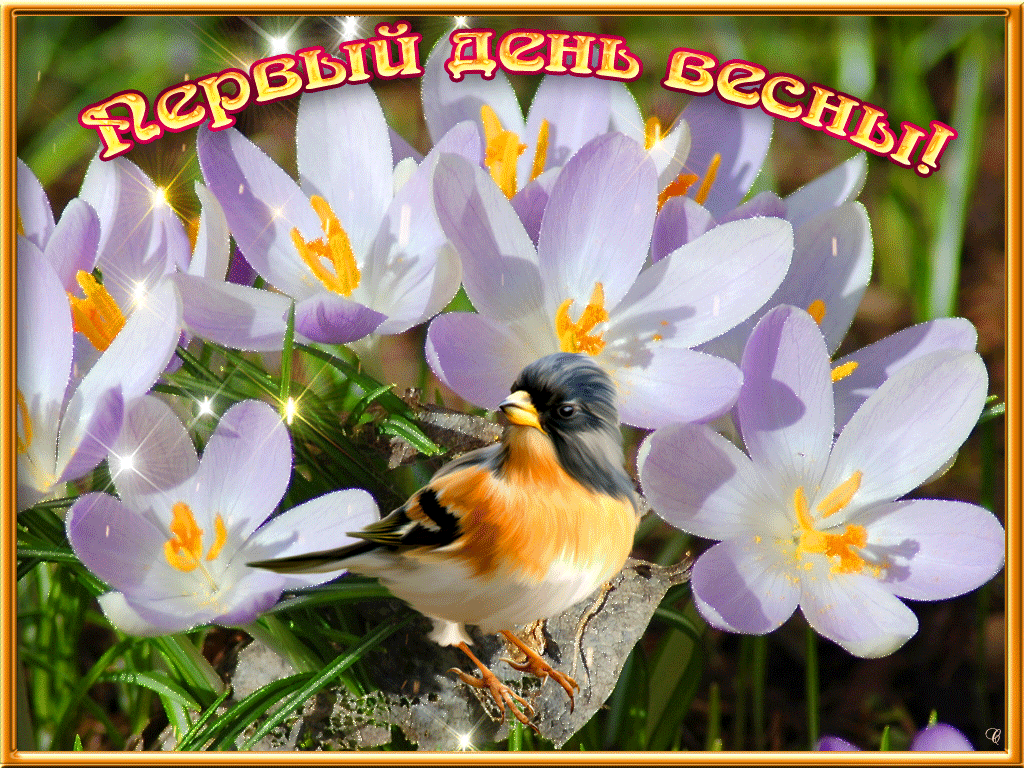 Открытка Первый день весны - Птица на цветах: открытка с весенним пейзажем | Красивая открытка #204