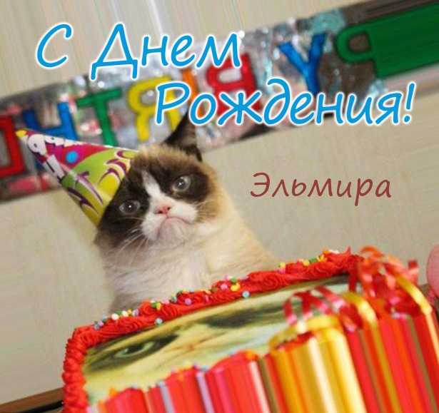 Открытка открытки с именем Эльмира - С Днём Рождения! Котик и торт | Красивая открытка #25