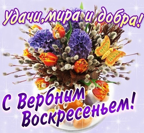 Открытка С вербным воскресеньем - Открытка с весенними цветами и бабочкой | Красивая открытка #206