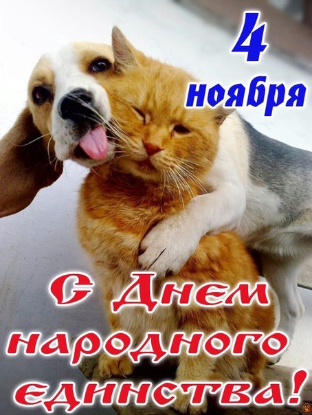 Открытка Открытки с днем народного единства - Две рыжие кошки: поздравление с 4 ноября | Красивая открытка #22