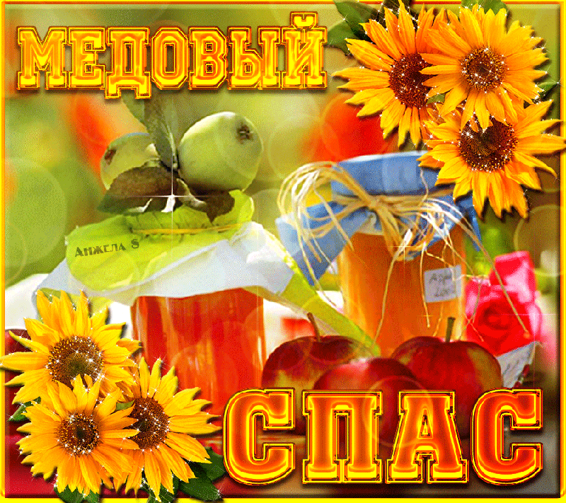 Открытка Медовый спас - Открытка с подсолнухами и яблоками | Красивая открытка #262
