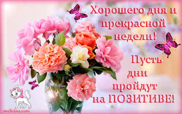 Открытка Открытки хорошего дня - Открытка с цветами и бабочками  поздравительная открытка | Красивая открытка #168