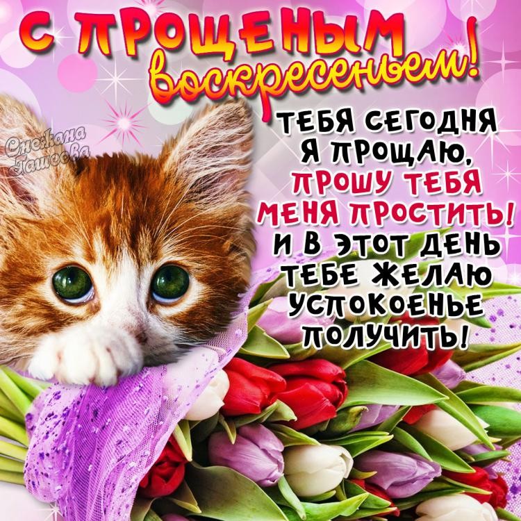 Открытка открытки на прощеное воскресенье  - Котенок с цветами: С Днем рождения! | Красивая открытка #9
