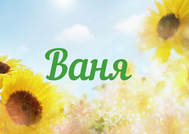 Открытка открытки с именем Иван - Открытка с подсолнухами на фоне голубого неба | Красивая открытка #27