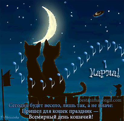 Открытка День Кошек - Открытка с котами на крыше, ночной город, гифка | Красивая открытка #37