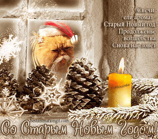 Открытка открытки на старый новый год - Открытка с котом на Новый год: Снег, свеча, ель | Красивая открытка #86