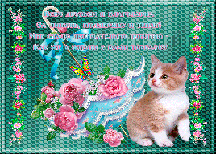 Открытка Открытки о дружбе - Открытка с котенком и цветами | Красивая открытка #253