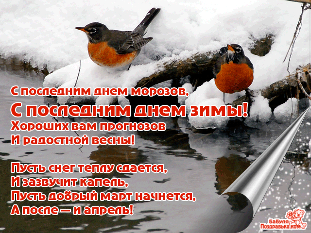 Открытка Открытки с последним днем зимы - Снег, птицы, весенняя открытка | Красивая открытка #4