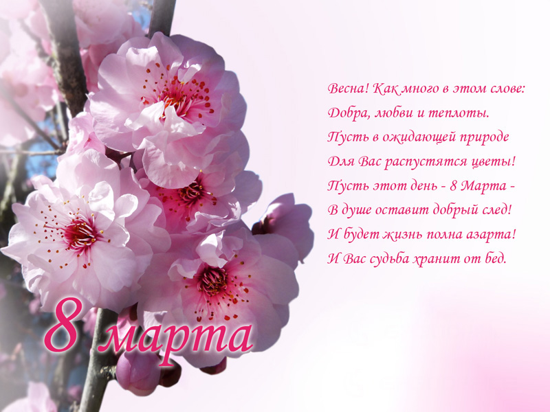 Открытка 8 марта - Открытка с цветами: 8 марта - день весны и красоты | Красивая открытка #158