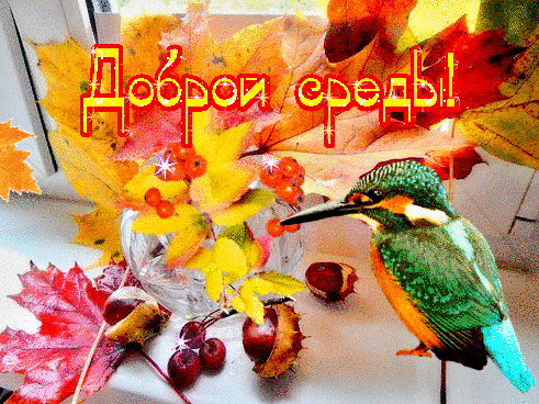 Открытка Со средой - Открытка с колибри, осенние листья и ягоды | Красивая открытка #4