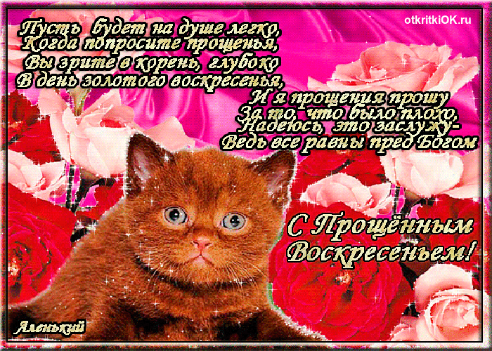Открытка Открытки с Прощеным Воскресеньем - Открытка с котенком на 8 марта. С днем 8 марта! | Красивая открытка #56