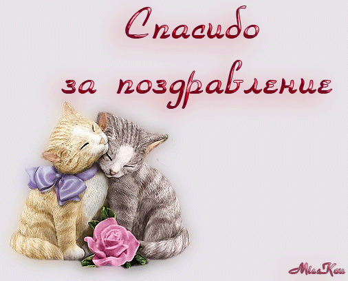 Открытка Благодарность - Открытка с котятами: милые котята обнимаются | Красивая открытка #8