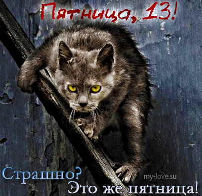 Открытка Открытки на пятницу 13 - Злой серый кот на фоне синей стены | Красивая открытка #131