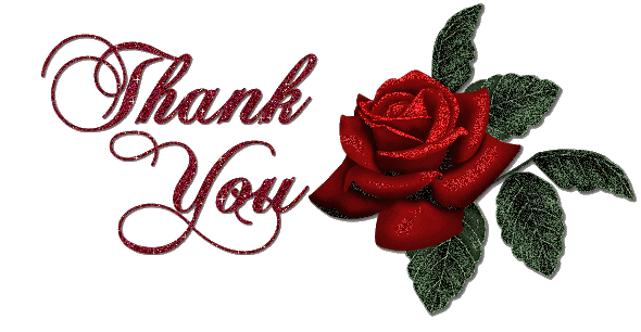 Открытка Открытки для тебя - Красная роза с надписью "Thank You" | Красивая открытка #88