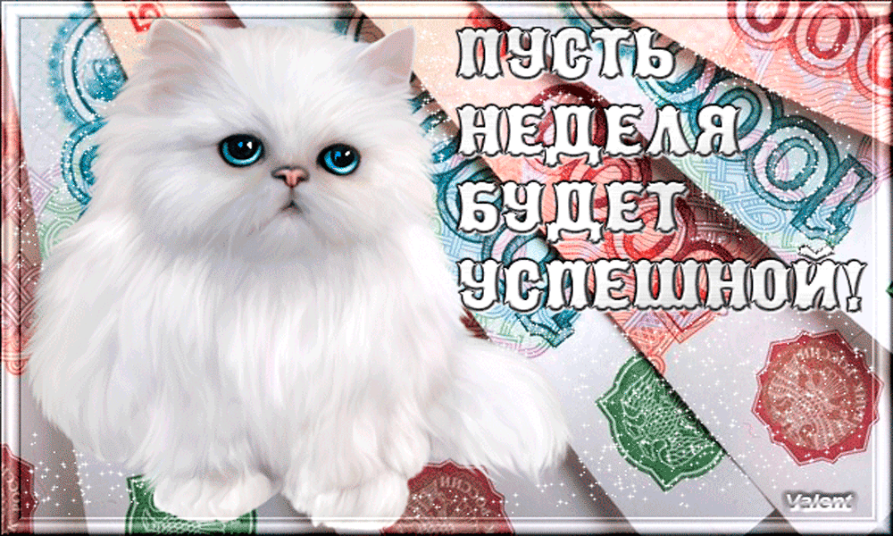 Открытка Удачи - Белый котенок на новогодней открытке | Красивая открытка #259
