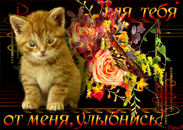 Открытка Улыбнись - Открытка с котенком и цветами | Красивая открытка #241