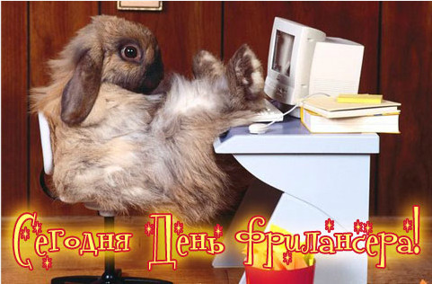 Открытка Открытки с днем фрилансера - Кролик на рабочем месте. Открытка с днем фрилансера | Красивая открытка #6