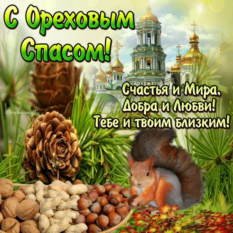 Открытка Ореховый спас - Открытка с белкой, орехами и сосновыми шишками | Красивая открытка #4