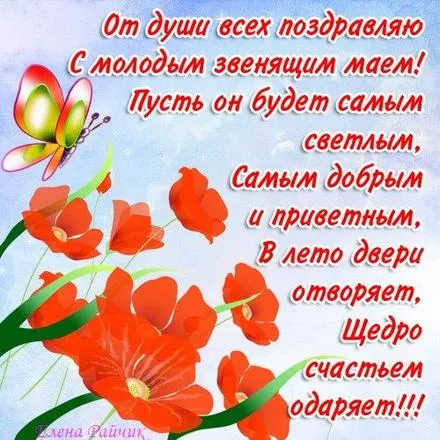 Открытка С маком - Красные розы и бабочка: Красивая поздравительная открытка | Красивая открытка #54