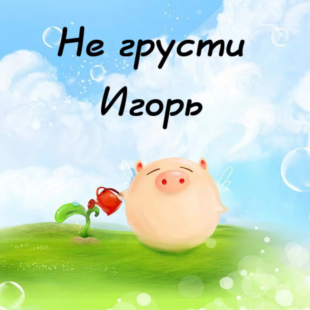 Открытка открытки с именем Игорь - Открытка с поросенком и лейкой | Красивая открытка #70