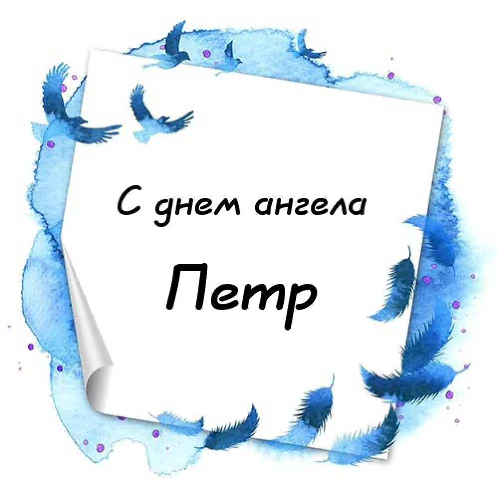 Открытка Открытки с именем Петр - Открытка с днем рождения: голубые перья и птицы | Красивая открытка #107