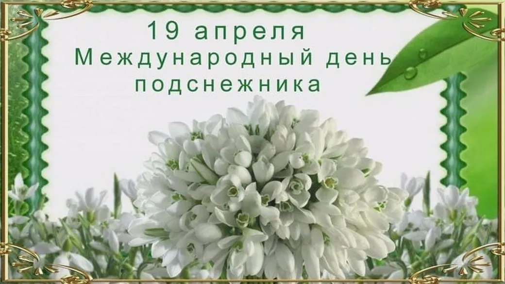 Открытка С днём подснежника - День 19 апреля | Красивая открытка #78