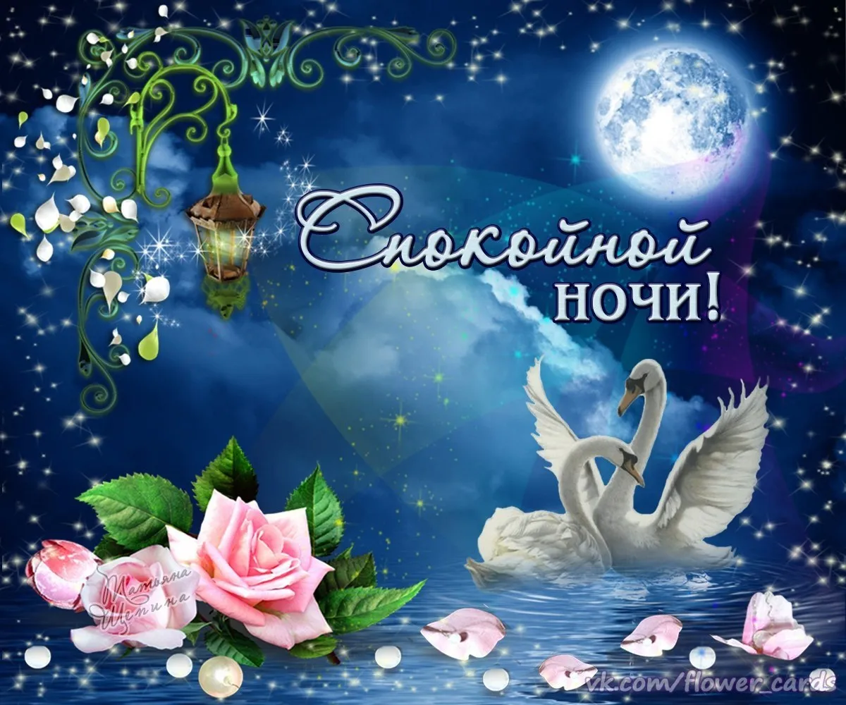 Открытка Спокойной ночи - Спящий лебедь и розы: открытка на ночь  Flower | Красивая открытка #63