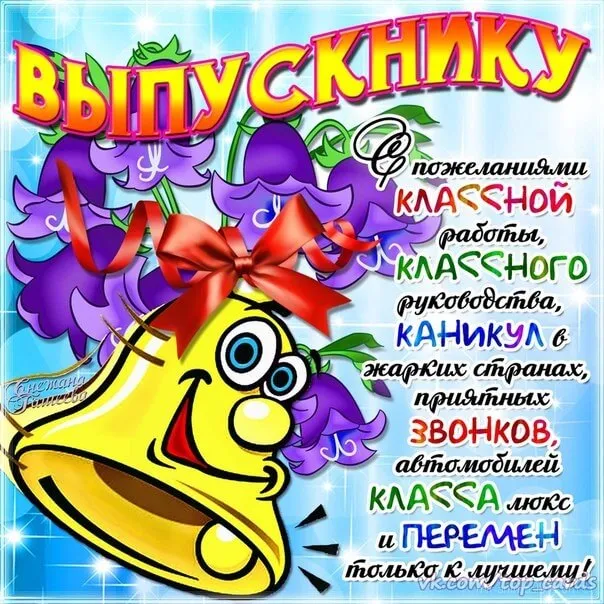 Открытка С выпускным - Открытка с собакой: яркий дизайн, поздравление | Красивая открытка #23