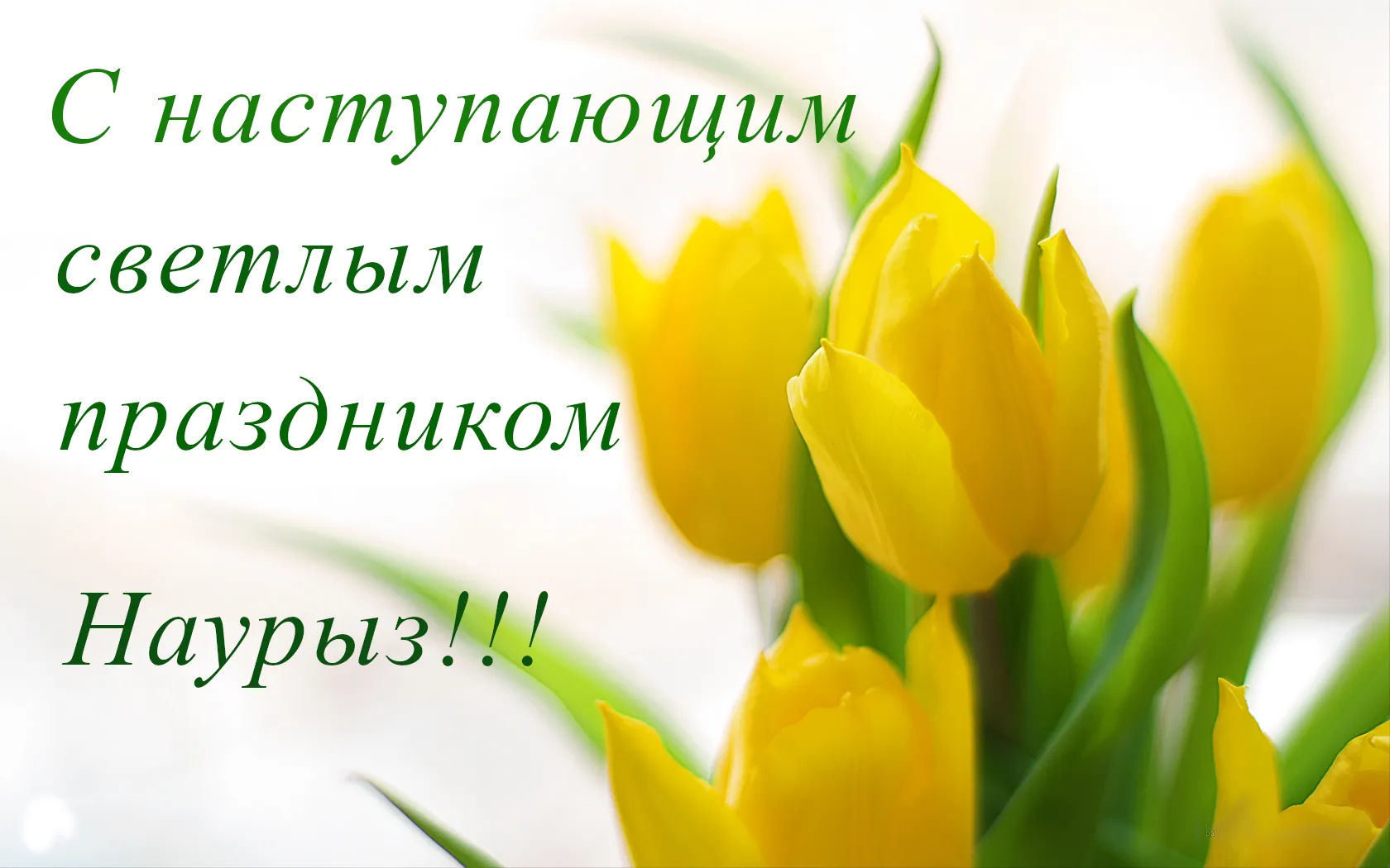 Открытка 22 марта  Наурыз - Весенние тюльпаны: нежная открытка с цветами | Красивая открытка #34