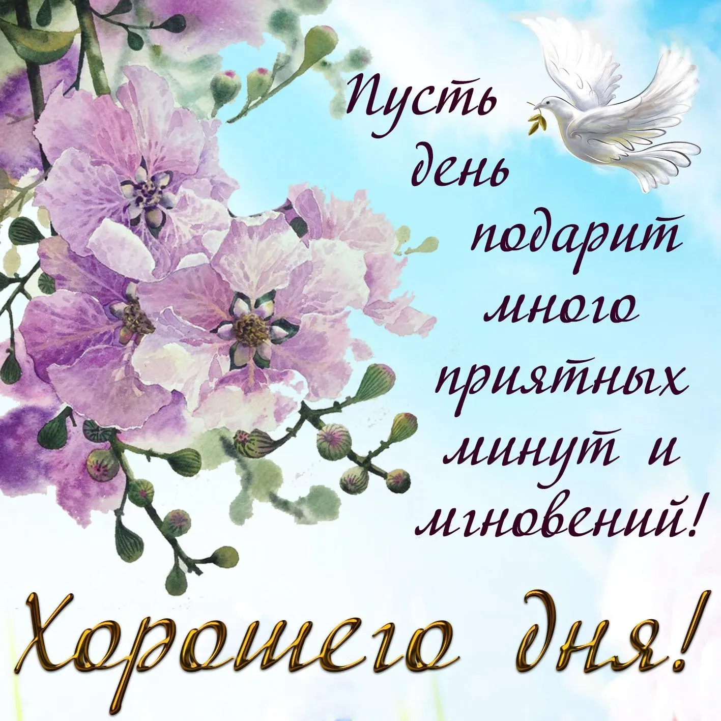 Открытка хорошего дня! - Открытка с цветами и голубем: поздравления с днем рождения | Красивая открытка #12