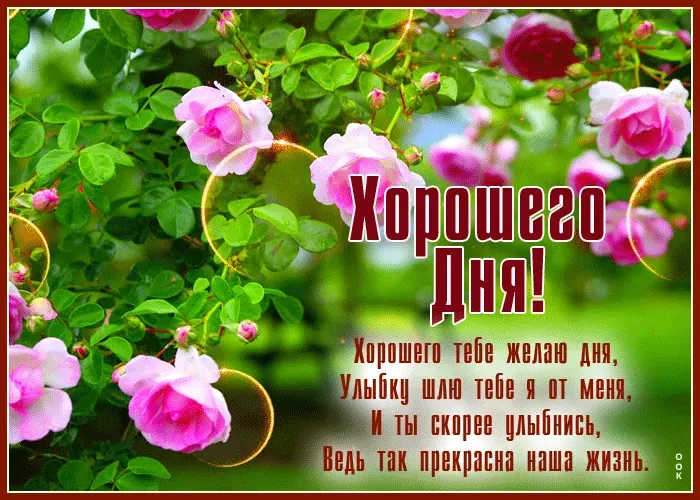 Открытка хорошего дня! - Открытка с цветами: Поздравление с Днем | Красивая открытка #8